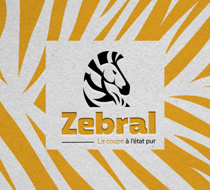 Présentation nouveau logo Zebral